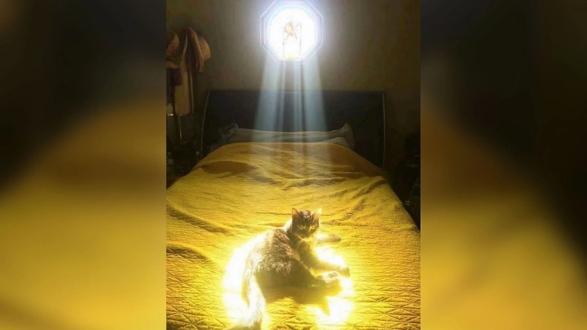 Фото © Reddit / Acceptable_Donut7284