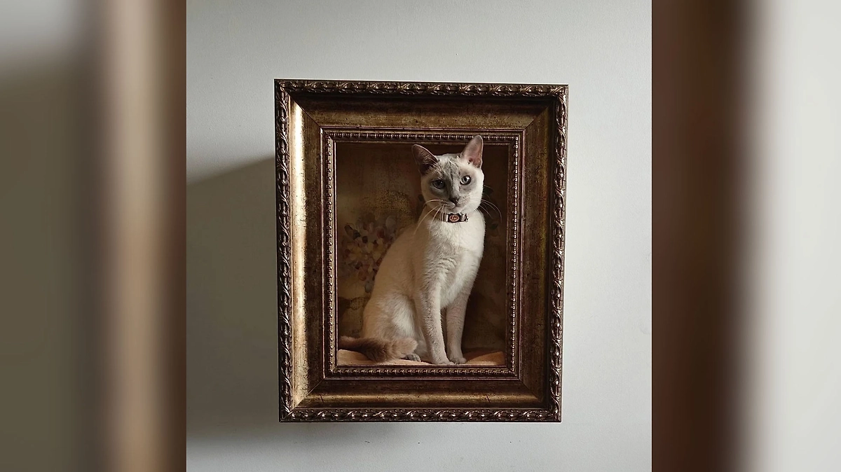 Фото © Reddit / misstinygreentrees