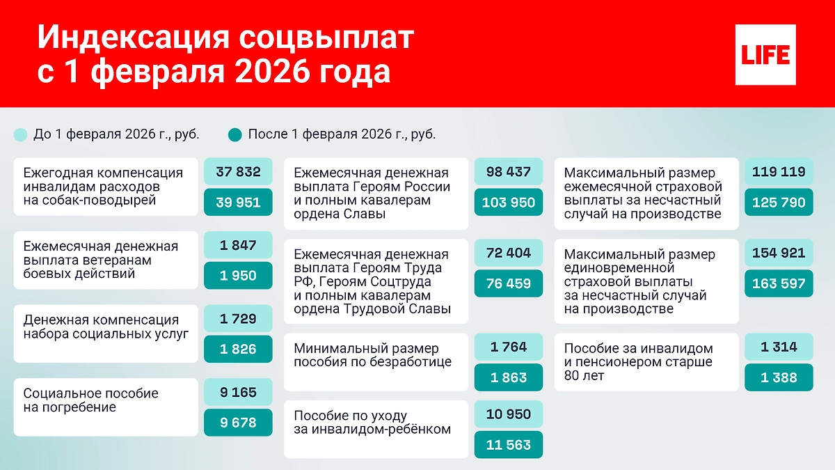 Инфографика © Life.ru