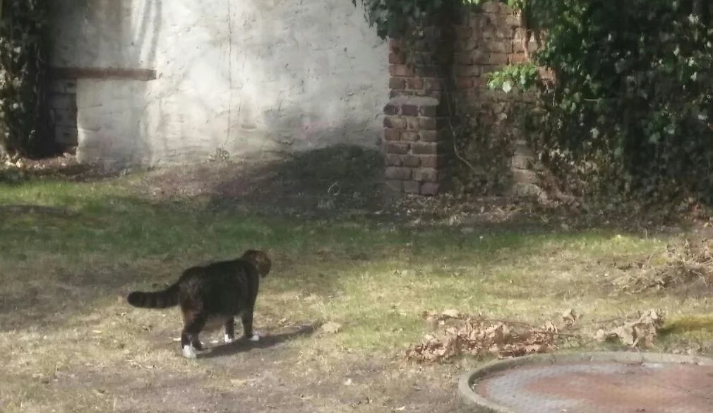 Фото © Reddit / hueftenspeck