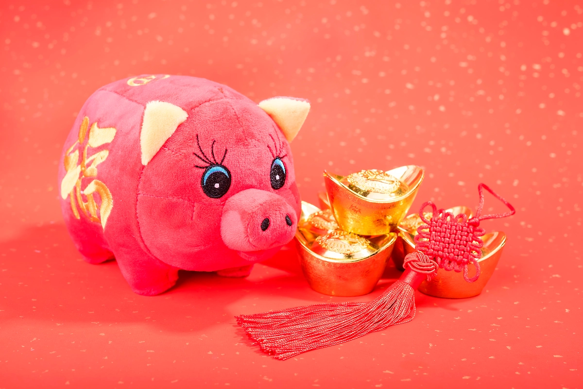 Представители китайского зодиака Свинья: ваш звёздный час настал. Фото © Shutterstock / FOTODOM / FotoFeast
