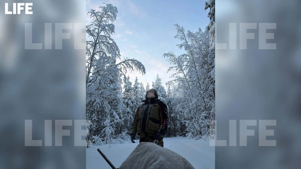 В тайге быстро темнеет. Фото © Life.ru