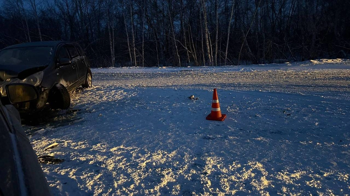В Омской области четверо взрослых и двухлетняя девочка пострадали в ДТП. Фото © Telegram / Госавтоинспекция Омской области