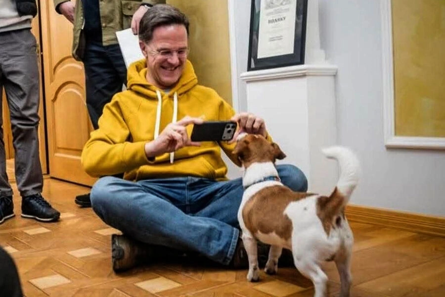 Рютте обсуждает капитуляцию киевского режима с псом Патроном. Фото © Insider.ua