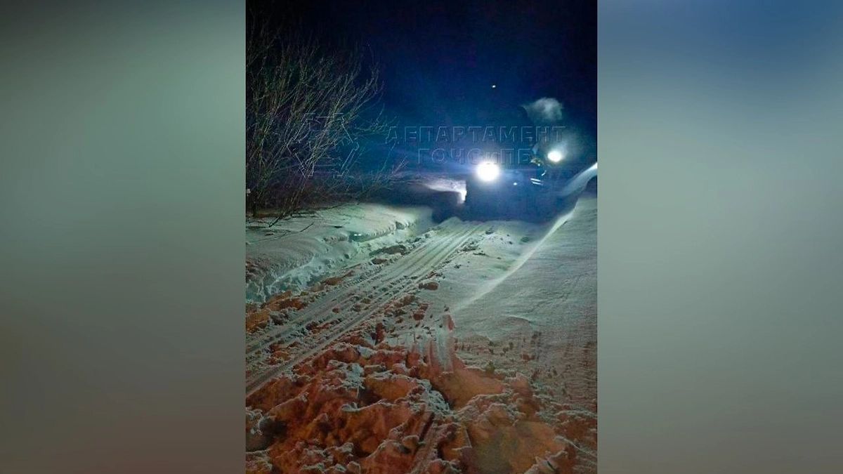 Спасатели вывели из московского леса девушку, которой стало плохо. Фото © Telegram / ЧСтные новости Москвы