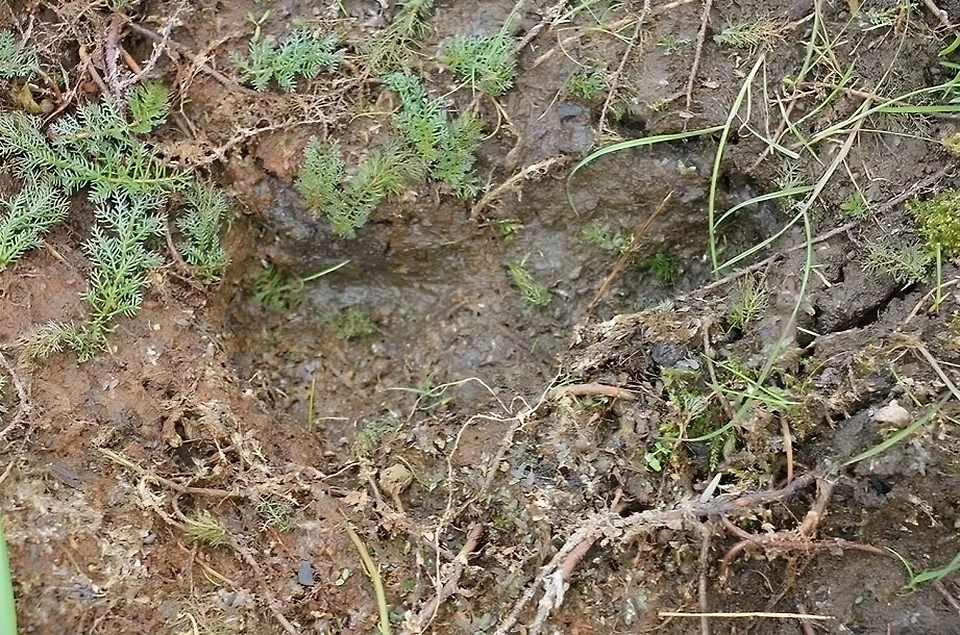 Как Карина Чикитова выжила в экстремальных условиях якутской тайги. Фото © ГКУ «Служба спасения РС (Якутия)»