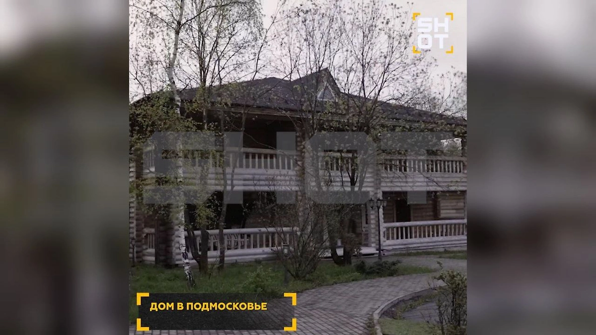 Родовая усадьба Жириновского в подмосковном Дарьине. Фото © SHOT