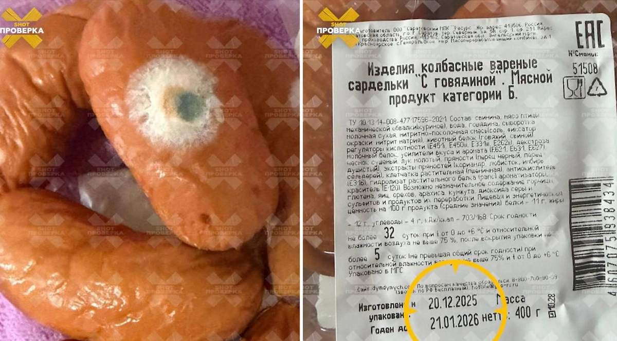 «Дым Дымыч» за ночь превратился в плесень и отравили жительницу Подмосковья. Фото © Telegram / SHOT ПРОВЕРКА