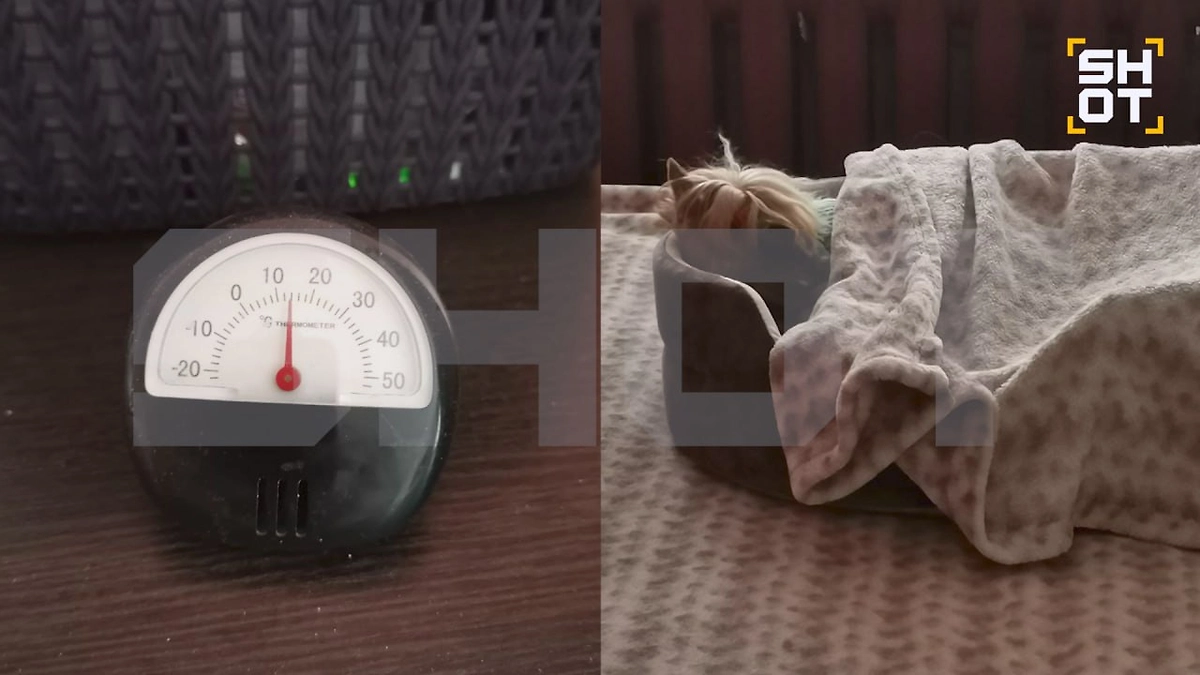 Обстановка в Коврове на фоне проблем с отоплением. Коллаж © SHOT