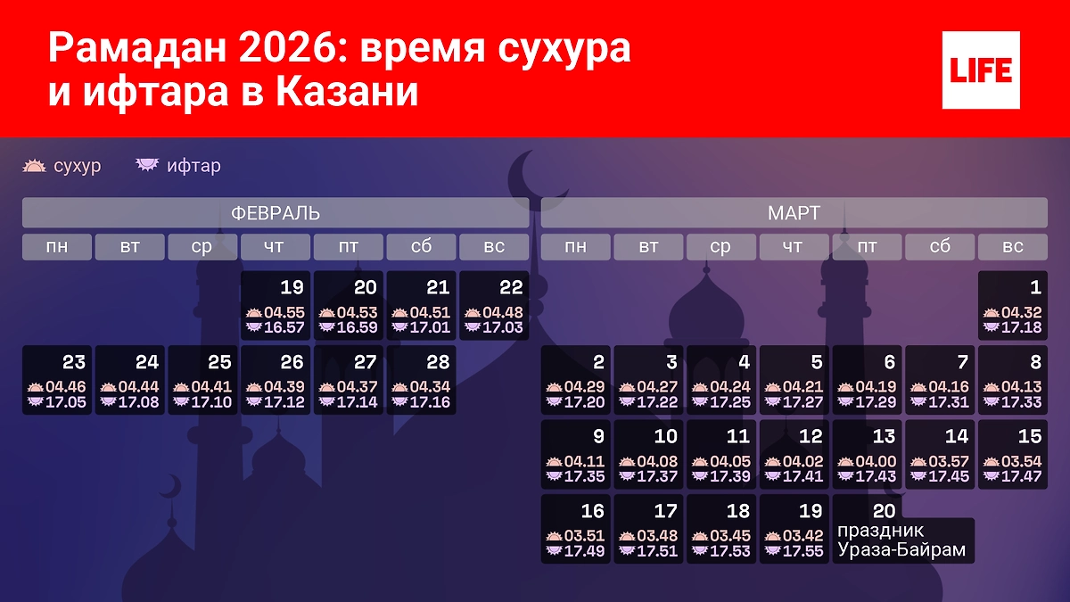 Инфографика © Life.ru