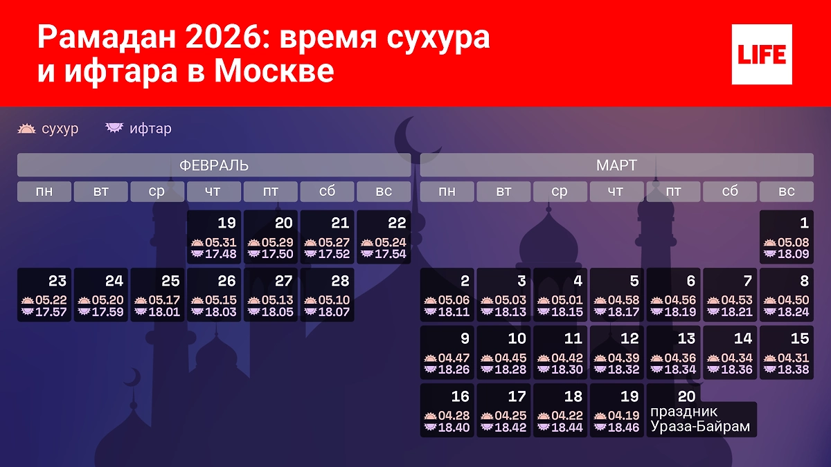 Инфографика © Life.ru 