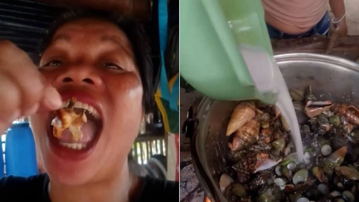 Видео © Instagram (признан экстремистской организацией и запрещён на территории Российской Федерации) / real_abdikarim