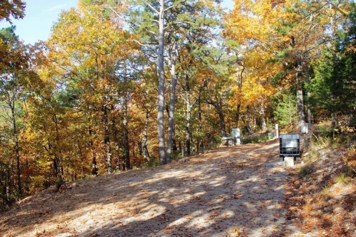 Лесок, который купил себе Шпак*. Фото © realtor.com