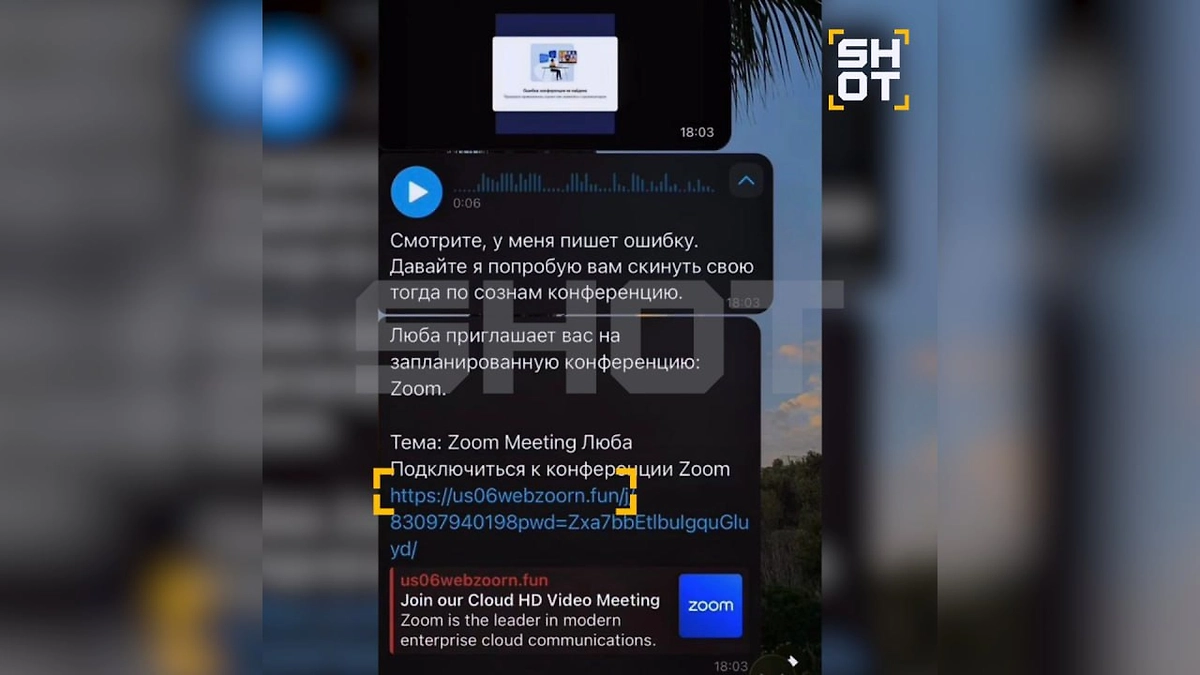 Мошенники крадут данные россиян через фальшивые ссылки на Zoom. Фото © SHOT