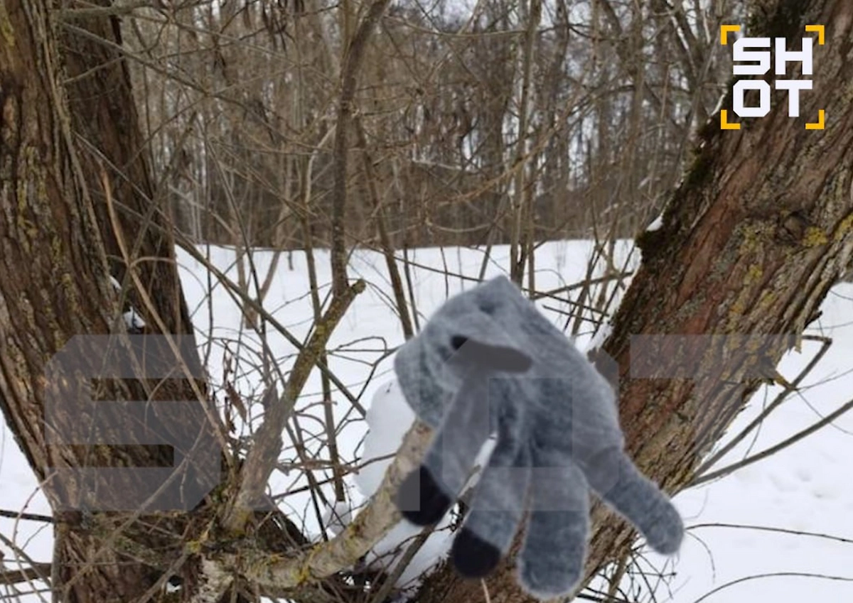 На месте поисков Саши Фоменковой обнаружили детскую перчатку. Фото © SHOT