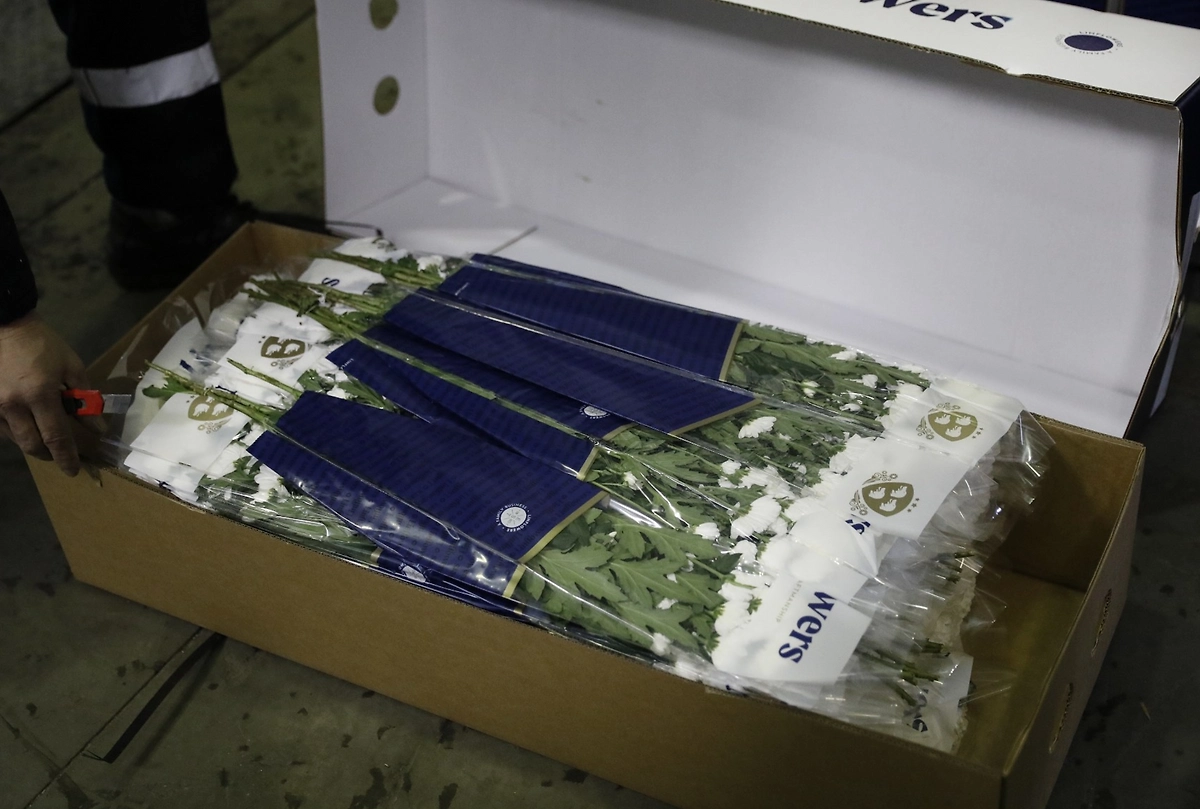 Работа таможни перед 8 Марта. Фото © Life.ru