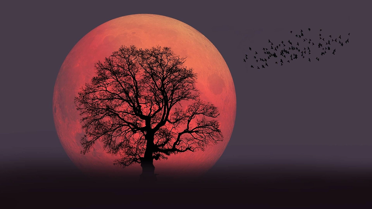 Лунное затмение в марте 2026: влияние на знаки зодиака и ритуалы очищения. Фото © Shutterstock / FOTODOM / muratart
