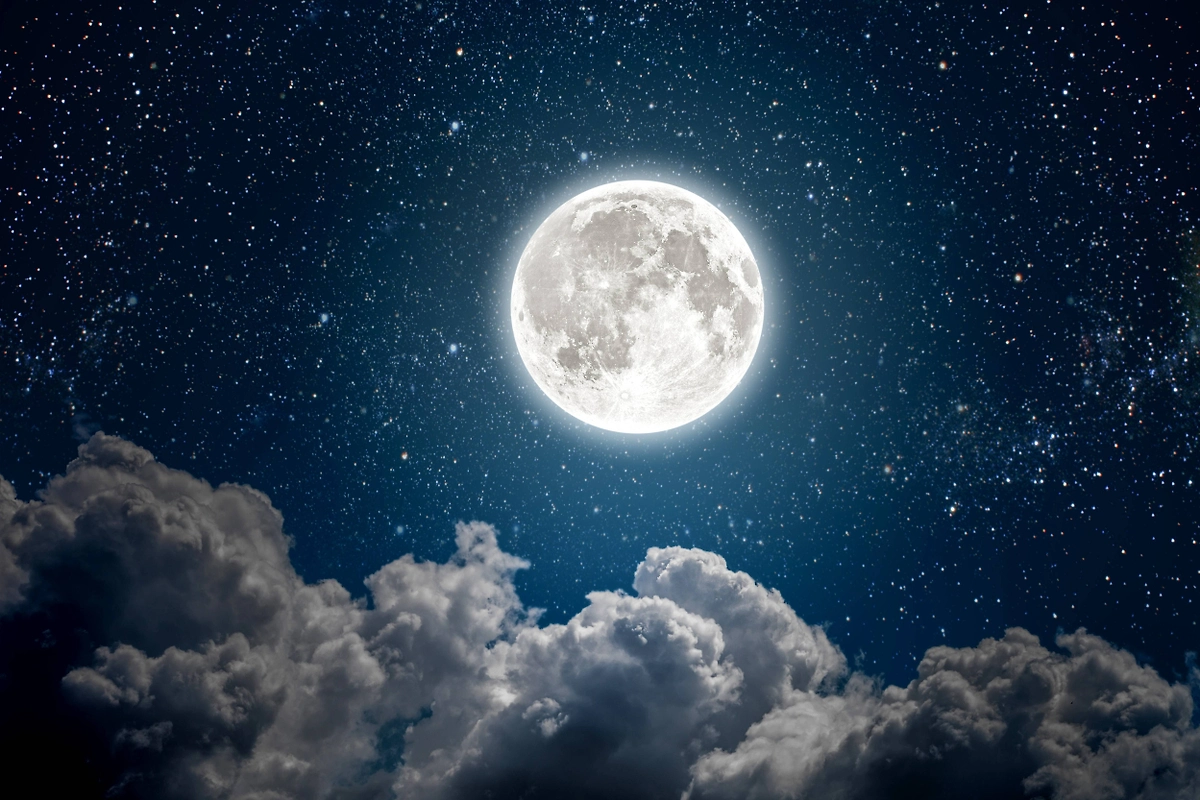 Неблагоприятные дни для посадки в марте 2026 года. Фото © Shutterstock / FOTODOM / vovan