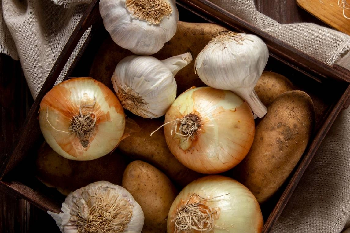 Календарь садовода и огородника на март 2026: когда сажать рассаду. Фото © Freepik