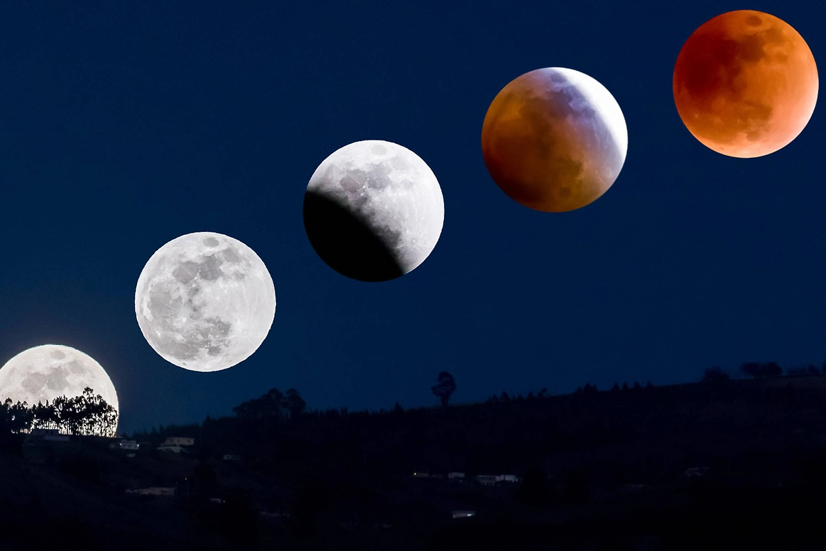 Лунный календарь стрижек на март 2026: когда идти к парикмахеру. Фото © Shutterstock / FOTODOM / Fotos593