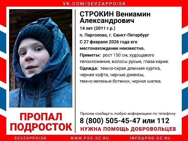 Информация о подростке, пропавшем в п. Парголово, г. Санкт-Петербурге. Фото © VK / Поисково-спасательный отряд «Северо-Запад»