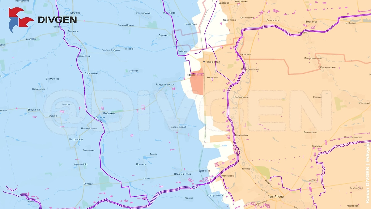 Карта СВО на 3 февраля 2026 года. Армия России освободила Придорожное. Фото © Telegram / DIVGEN 🚩Карта СВО