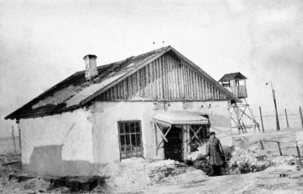 Заполярные лагеря СССР: почему Вайгач отличался от других. Фото © РИА «Новости» / РИА «Новости»