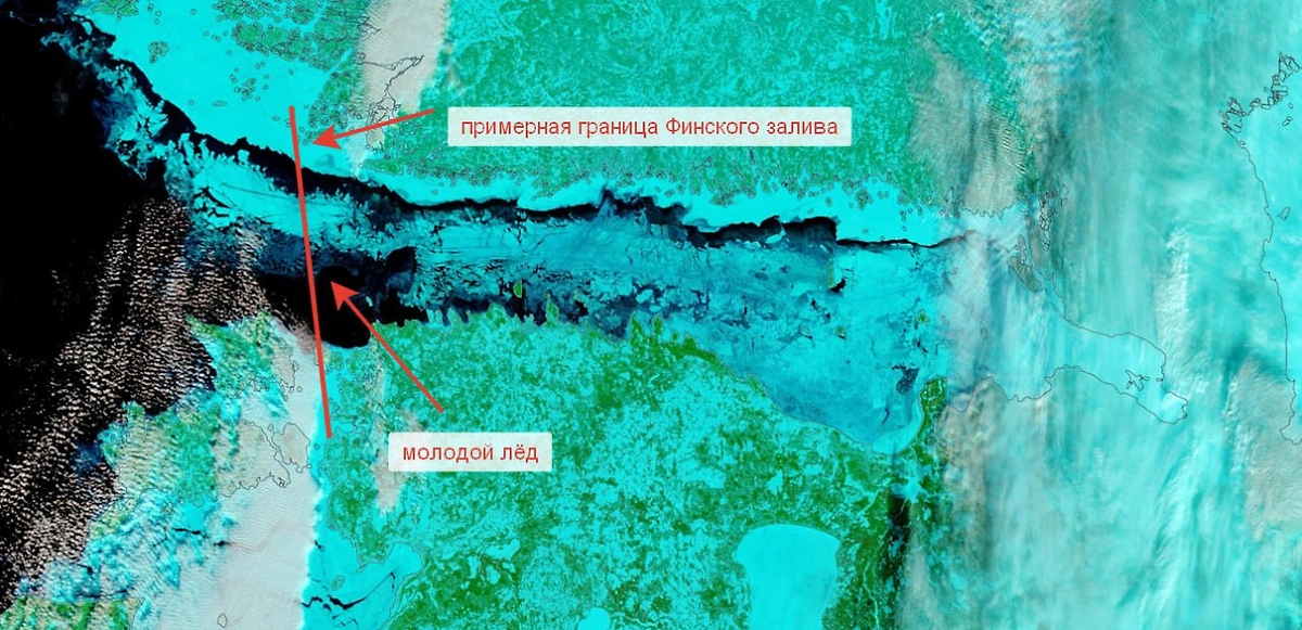 Замёрзший Финский залив. Фото © Telegram/ Александр Колесов. О погоде в Петербурге.