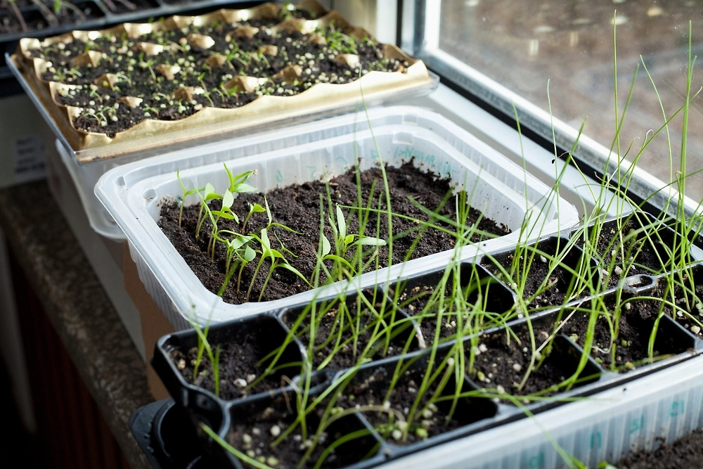 Неблагоприятные дни для работ в феврале 2026 года. Фото © Shutterstock / FOTODOM / Tatevosian Yana