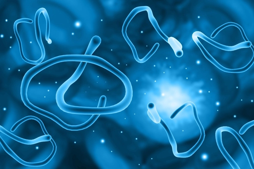 Фото © Shutterstock / FOTODOM / Explode