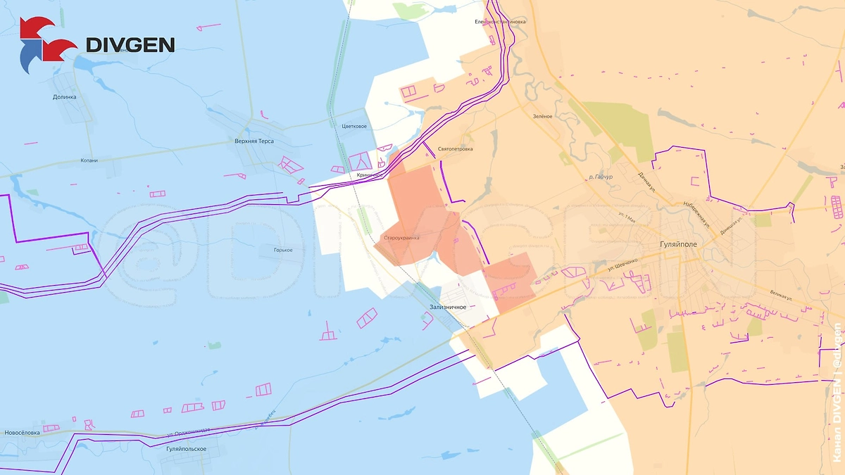 Карта СВО на 5 февраля 2026 года. Армия России освободила Староукраинку. Фото © Telegram / DIVGEN🚩Карты СВО