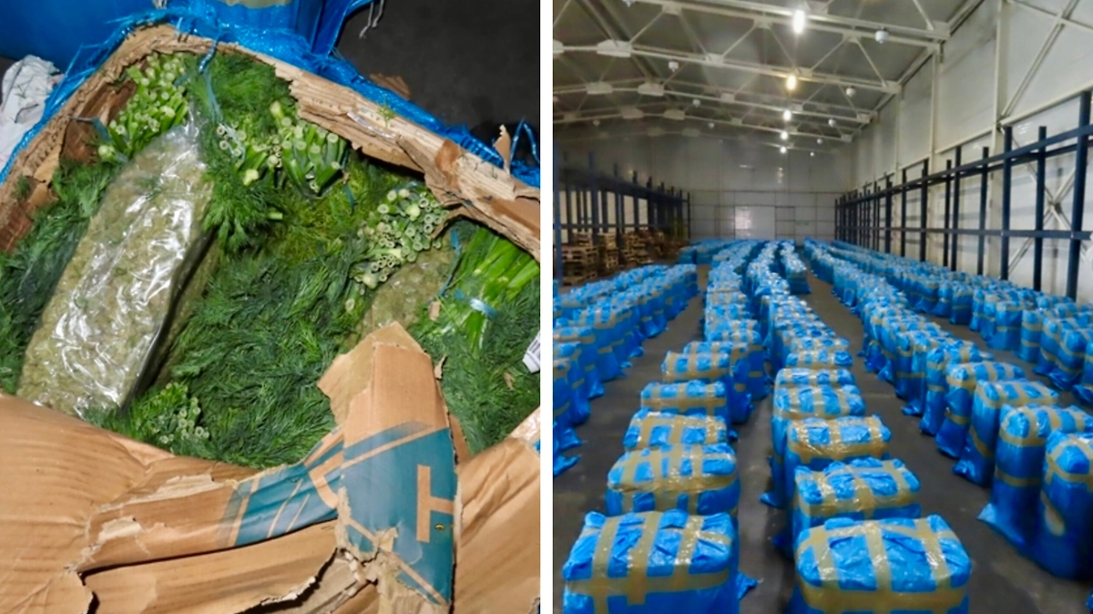 Более 122 кг марихуаны изъяли дагестанские таможенники из фуры Азербайджана. Фото © Пресс-служба Северо-Кавказского таможенного управления