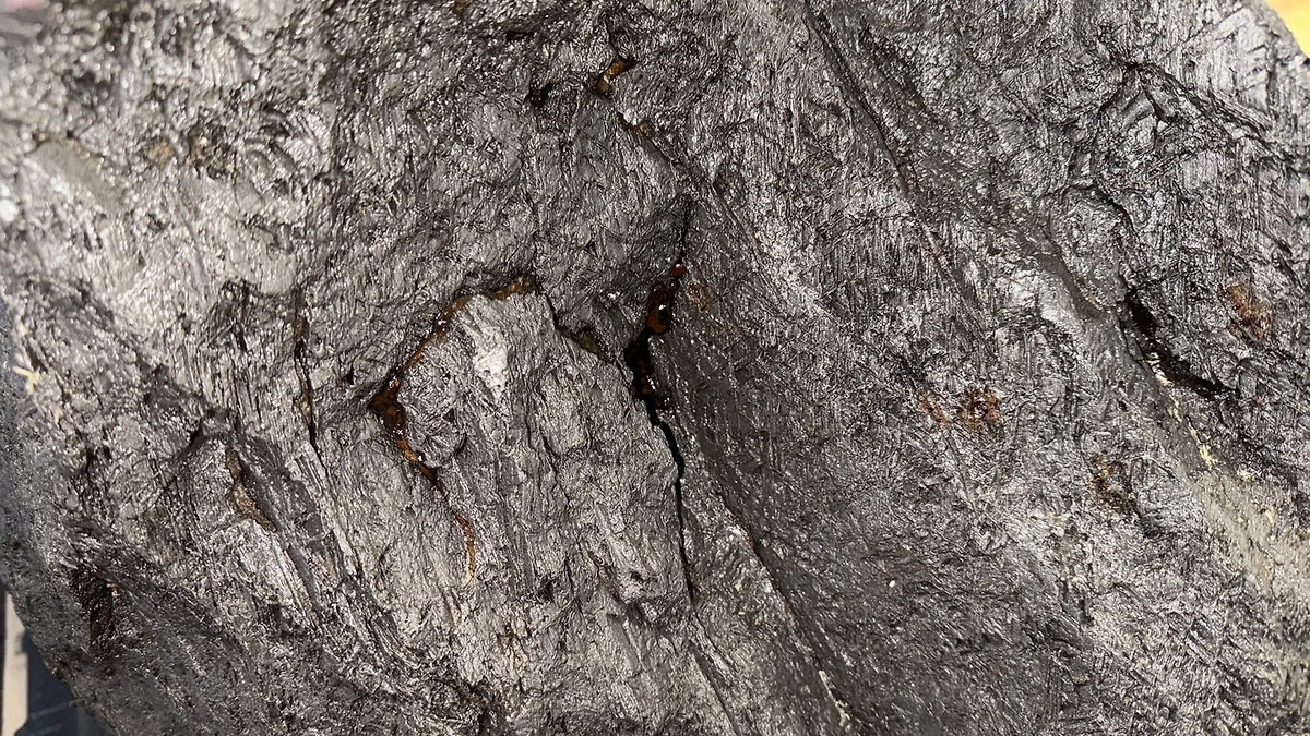 Фрагмент метеорита весом более 2,5 т не дали вывезти из России в Британию таможенники. Фото © ФТС России