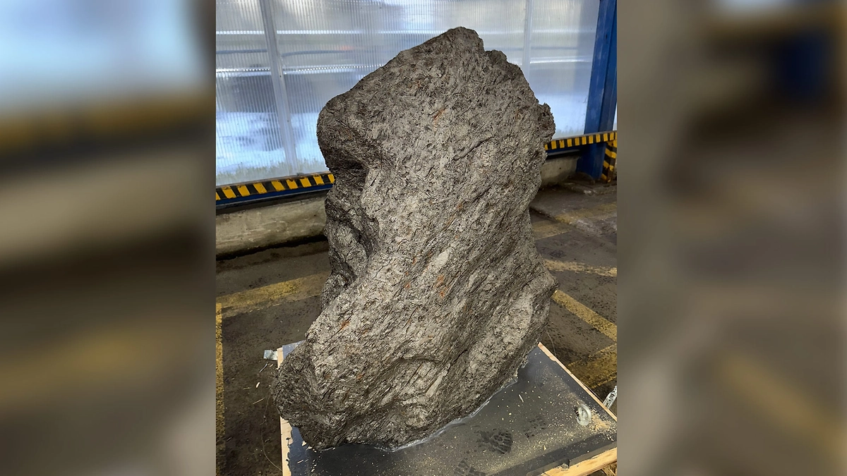 Фрагмент метеорита весом более 2,5 т не дали вывезти из России в Британию таможенники. Фото © ФТС России