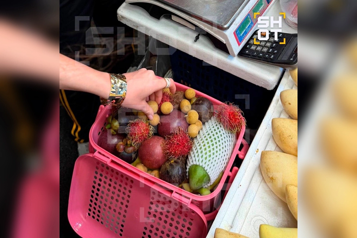 Москвичка привезла из Таиланда геккона в корзине с фруктами, но он пропал. Фото © SHOT