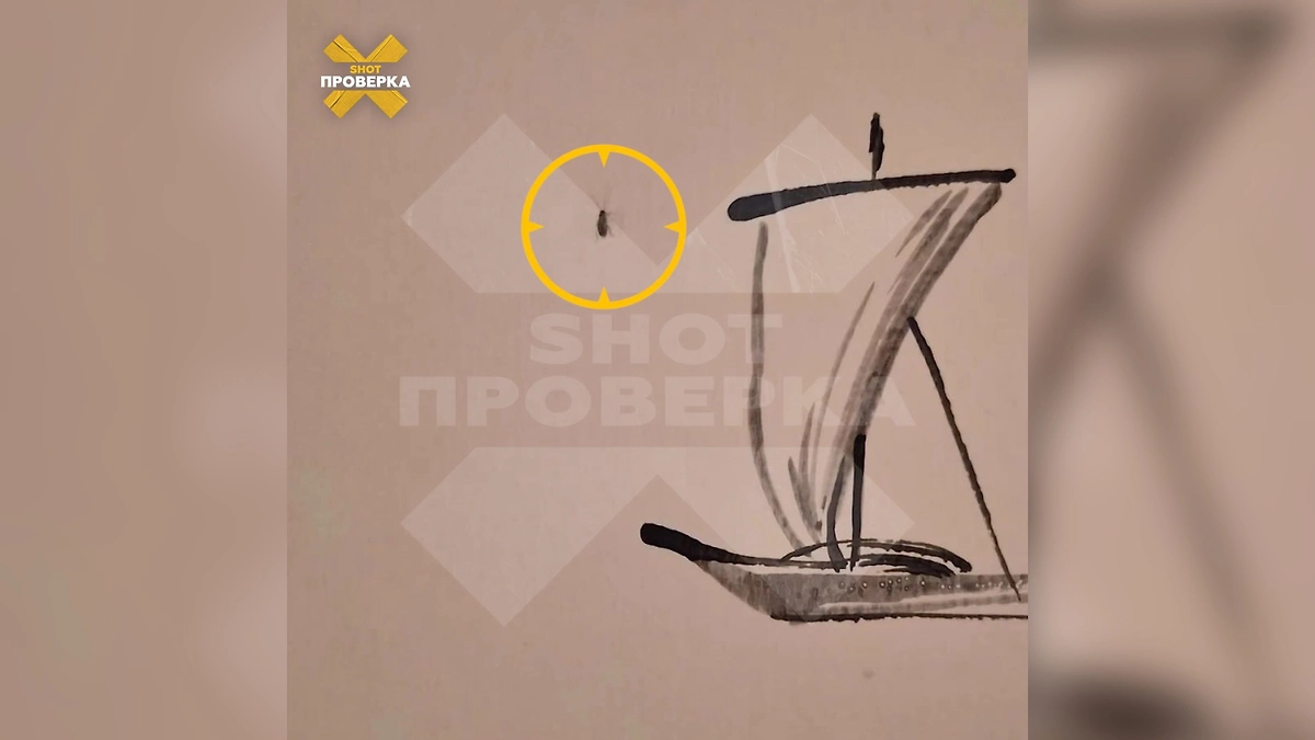 Таракан в заведении. Фото © Telegram / SHOT ПРОВЕРКА