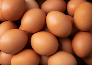 Белоруссия может поставить в Россию лишние яйца