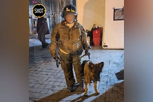 Стало известно об аферах проникшего в "Крокус" лжекинолога в родном Новосибирске