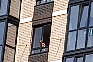 Брошенный матерью малыш чуть не выпал из окна высотки в Краснодаре