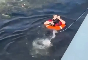 Петербурженка спасла неуклюжую собаку, свалившуюся в Неву