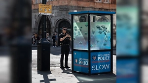 Бэнкси представил седьмую с начала недели работу, раскрасив пираньями полицейскую будку