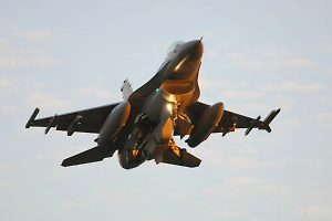 В МИД назвали уничтожение F-16 из Patriot «достойным началом»