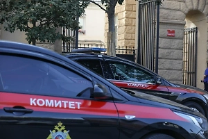 Девочку жестоко избили в детском лагере на Камчатке, возбуждено уголовное дело