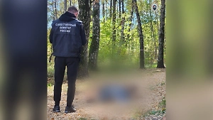 В новой Москве нашли тело изрезанного мужчины