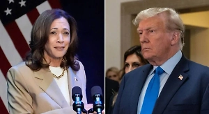 Умную колонку от Amazon уличили в агитации за Харрис и игноре Трампа