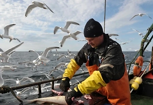 В Британии забили тревогу из-за запрета по Баренцеву морю