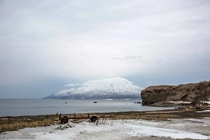 На побережье Сахалина объявили угрозу цунами после землетрясения в Японии