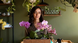 5 комнатных растений, которые нельзя ставить в доме незамужней девушки