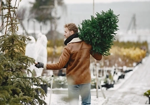 Москвичам рассказали, куда можно сдать новогоднюю ёлку после праздников
