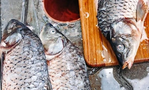 «Рыба для кошек»: Эксперт назвал рабочий способ улучшить имидж минтая